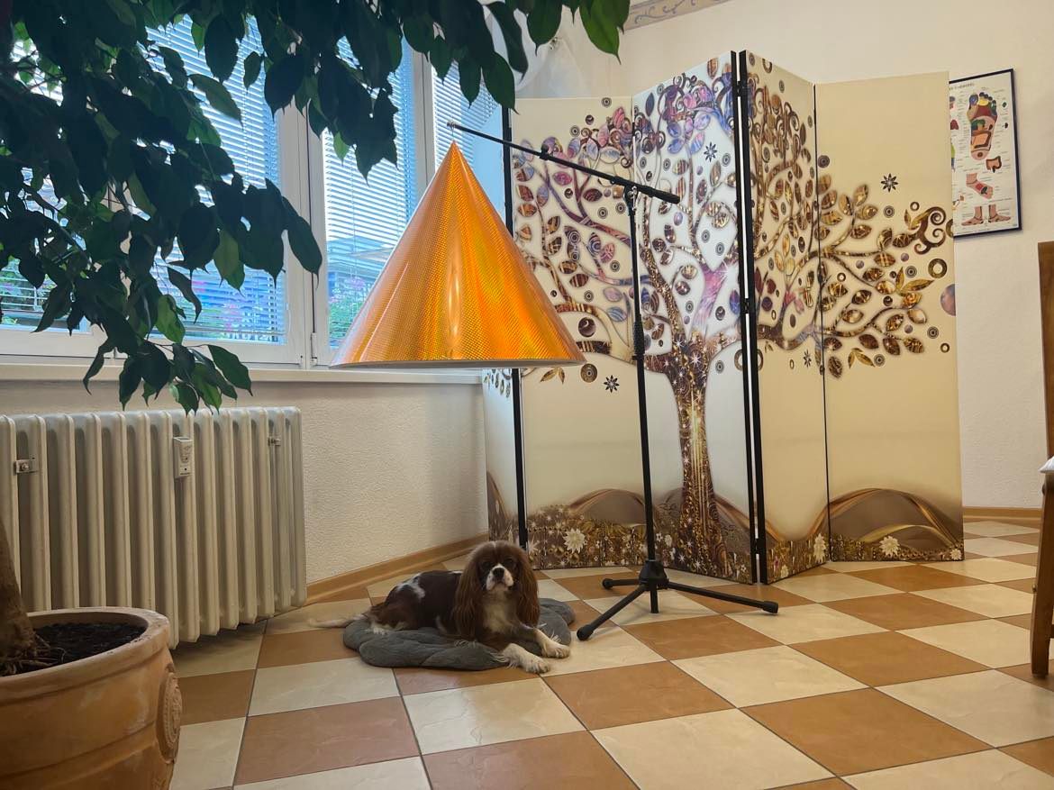 Miška s pyramidou